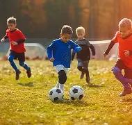 巴西总统卢,最高法院受,理博索纳罗,星空官网,星空体育APP,XingKong,星空平台